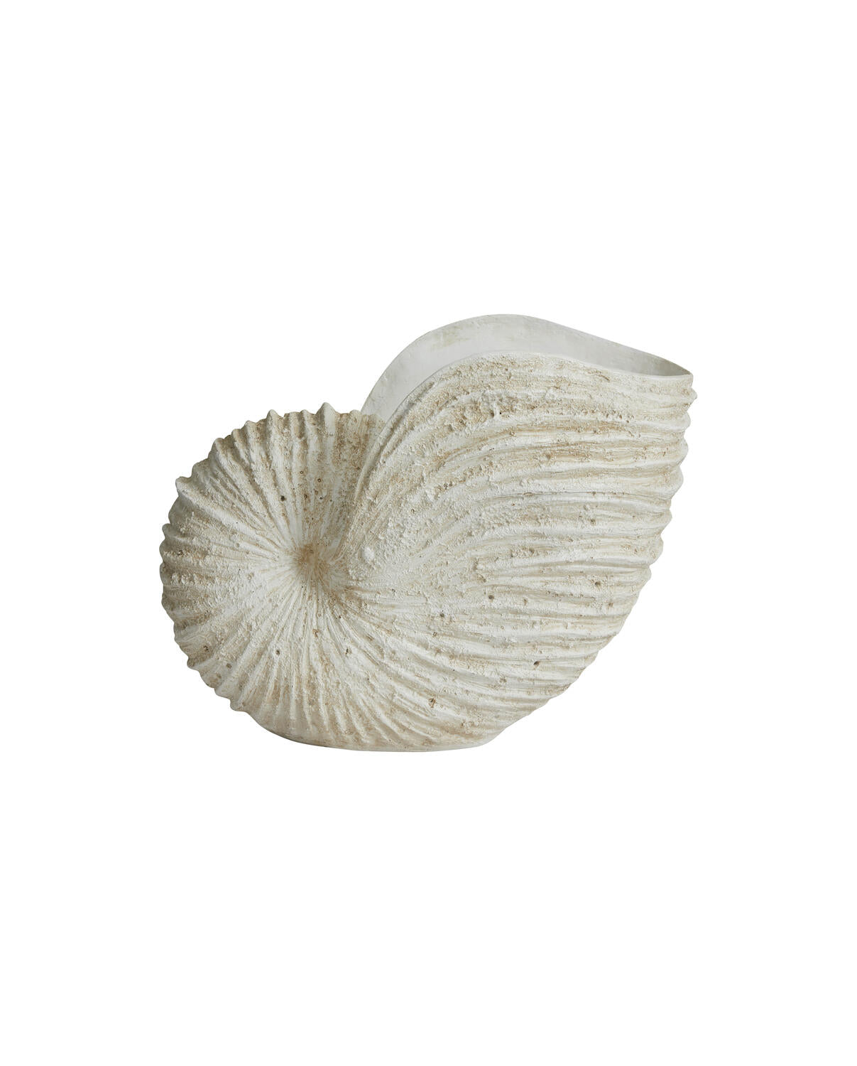 Ketoy shell vase - creme